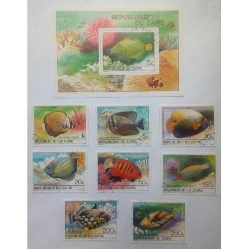 Заир (Конго, ДР) 1980 Тропические рыбы, фауна, гашеные (КЦ=8 евро) 