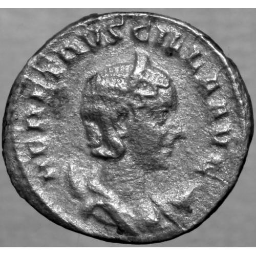 Денарій Гереннія Етрусцилла