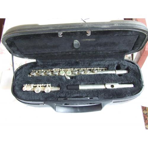 Флейта СТАГГ-77 ФР в рідному кофрі.