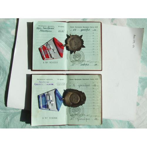 Орден революції № 80 195 наг. 1976 р. отчп № 891 739 наг.1973 р. + доки на дущак леонтина.