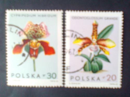 1965г   Флора  Орхидеи 