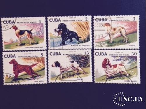 Куба 1976г Собаки
