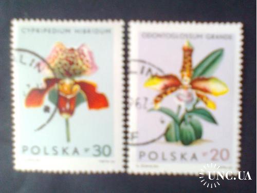Польша 1965г Орхидеи
