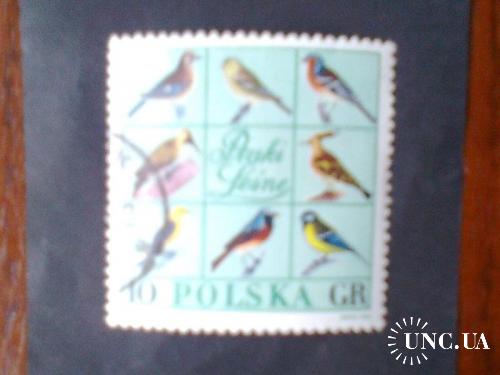 Польша 1966 г Лесные птицы
