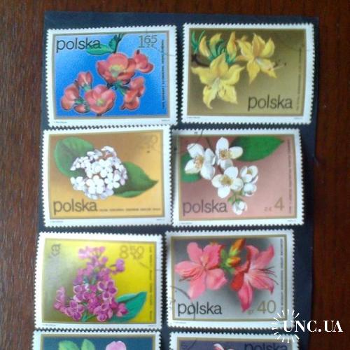 Польша 1972г Флора Цветы
