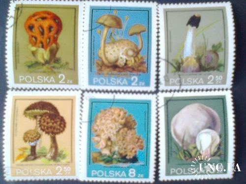 Польша 1980г Охраняемые грибы
