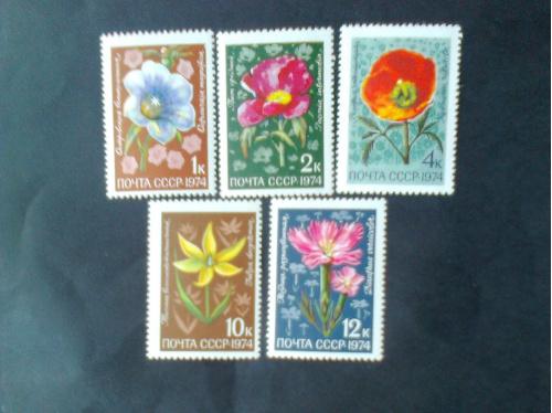 СССР 1974г Флора  цветы альпийских лугов