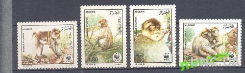 Алжир 1988 фауна Африки ВВФ WWF обезьяны ** о