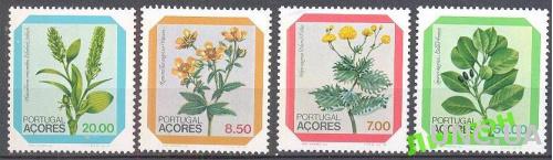 Азоры 1981 флора цветы ** о
