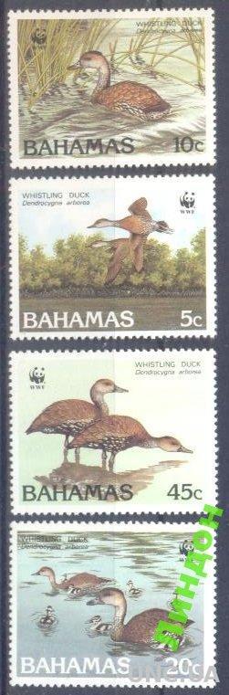 Багамы утки ВВФ WWF птицы фауна ** о