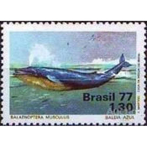 Бразилия 1977 киты морская фауна ** м