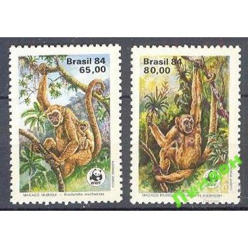 Бразилия 1984 ВВФ WWF фауна обезьяны ** ом