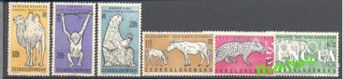 ЧССР 1962 фауна зоопарк медведи кошки слоны **
