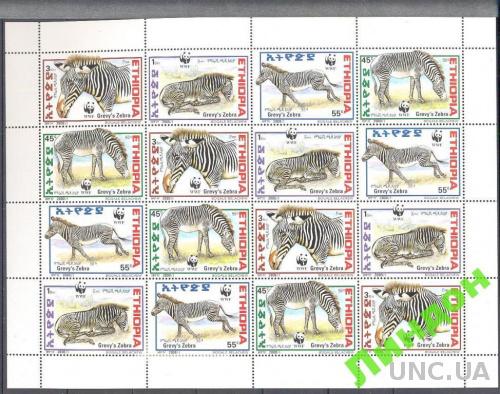 Эфиопия 2001 фауна Африки ВВФ WWF зебры лист ** о