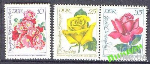 ГДР 1972 розы флора цветы 3м ** с