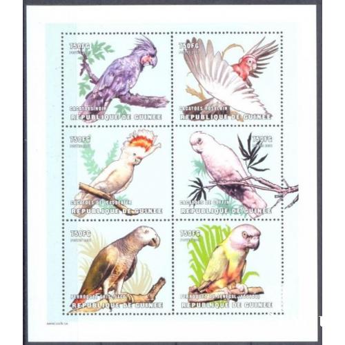 Гвинея 2001 попугаи птицы фауна лист ** о