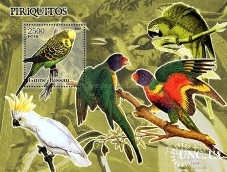 Гвинея-Бисау 2005 фауна птицы попугаи блок ** о