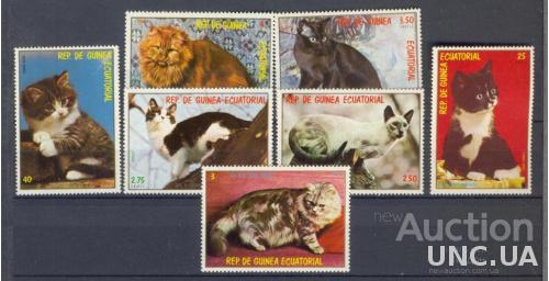 Гвинея Экваториальная коты кошки фауна ** м