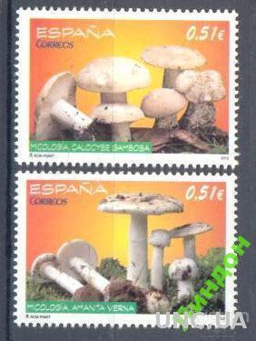 Испания 2012 флора грибы **