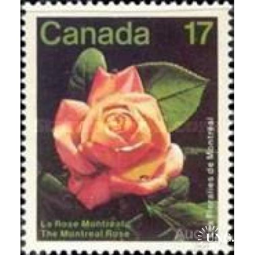 Канада 1981 флора цветы розы ** о