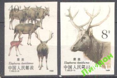 Китай 1988 фауна олень без/зуб ** о