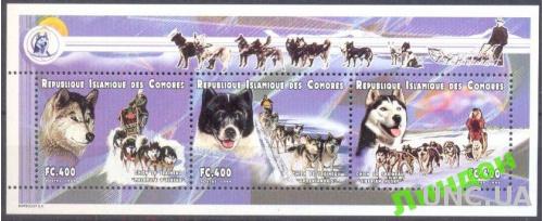 Коморы 1999 Арктика зуб собаки фауна ** о
