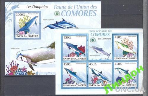 Коморы 2009 морская фауна дельфины ** о