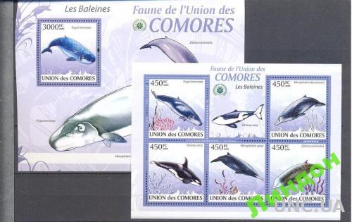 Коморы 2009 морская фауна киты ** о