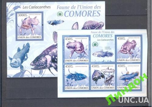 Коморы 2009 морская фауна рыбы латимерия ** о