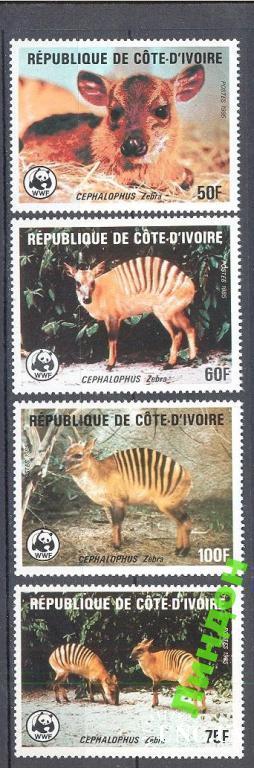 Кот Дивуар 1985 фауна Африки ВВФ WWF ** о
