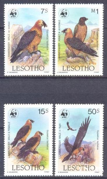 Лесото ВВФ WWF птицы фауна ** о