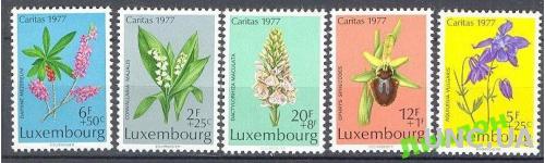 Люксембург 1977 флора цветы Рождество ** о
