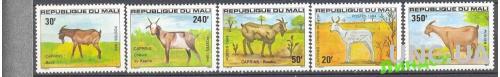 Мали 1984 фауна Африки козы ** о