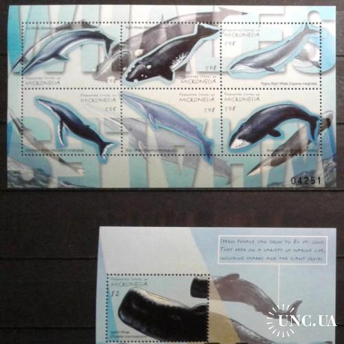 Микронезия 2001 морская фауна киты блок + лист ** о