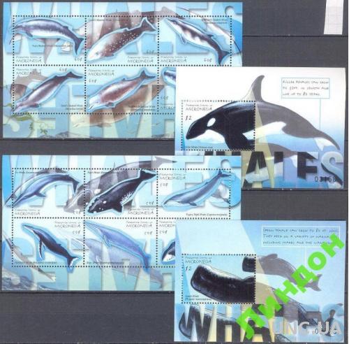 Микронезия 2001 морская фауна киты ** о