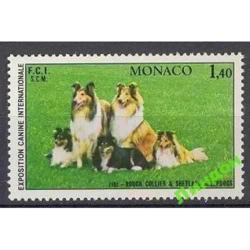 Монако 1981 фауна собаки колли ** о