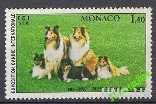 Монако 1981 фауна собаки колли **