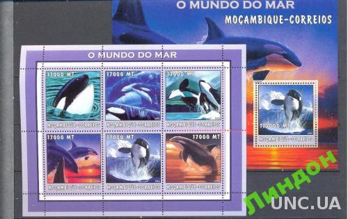Мозамбик 2002 морская фауна киты касатка **о
