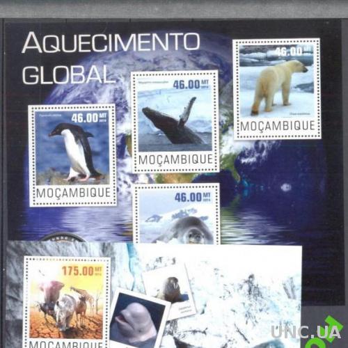 Мозамбик 2014 Антарктика медведь морская фауна **