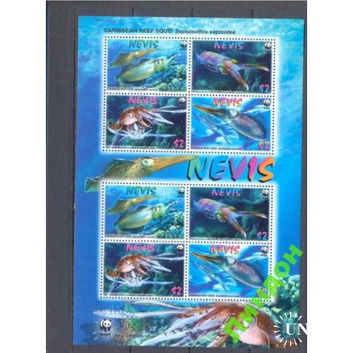 Невис 2011 морская фауна кальмар ВВФ WWF лист ** о