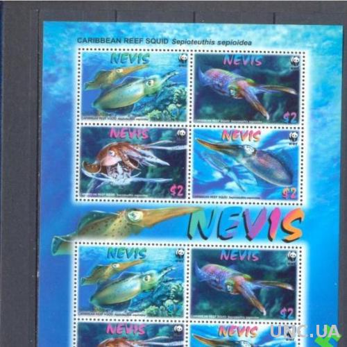 Невис 2011 морская фауна кальмар ВВФ WWF **