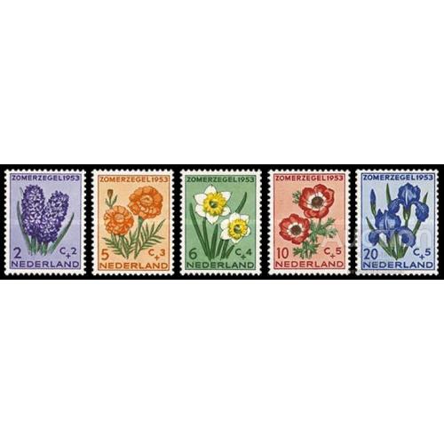 Нидерланды 1953 флора цветы * о