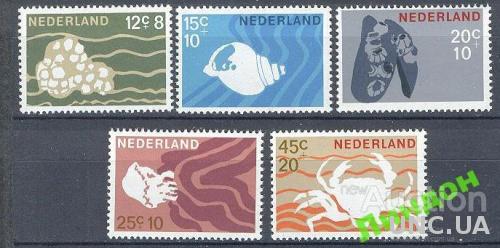 Нидерланды 1967 морская фауна ракушки краб моллюски ** о