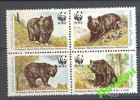 Пакистан 1989 медведи ВВФ WWF фауна кварт ** о