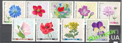 Польша 1967 флора цветы ** о
