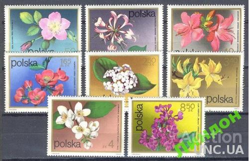 Польша 1972 флора цветы ** о