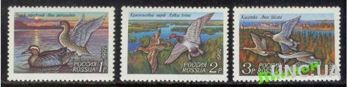 Марка Россия 1992 фауна утки птицы **