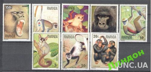 Руанда 1978 обезьяны фауна Африки ** о