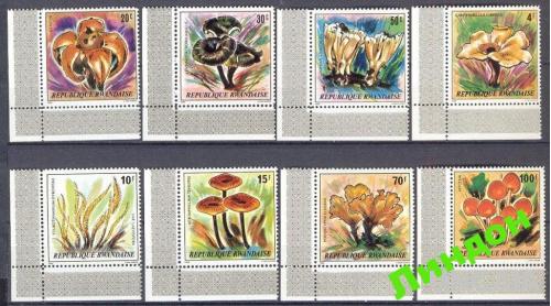 Руанда 1980 грибы флора ** о