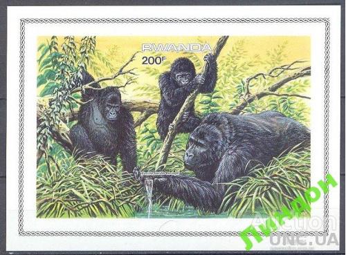 Руанда 1985 обезьяны без/зуб блок фауна ** о